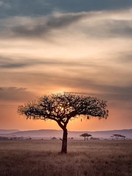 TANZANIA